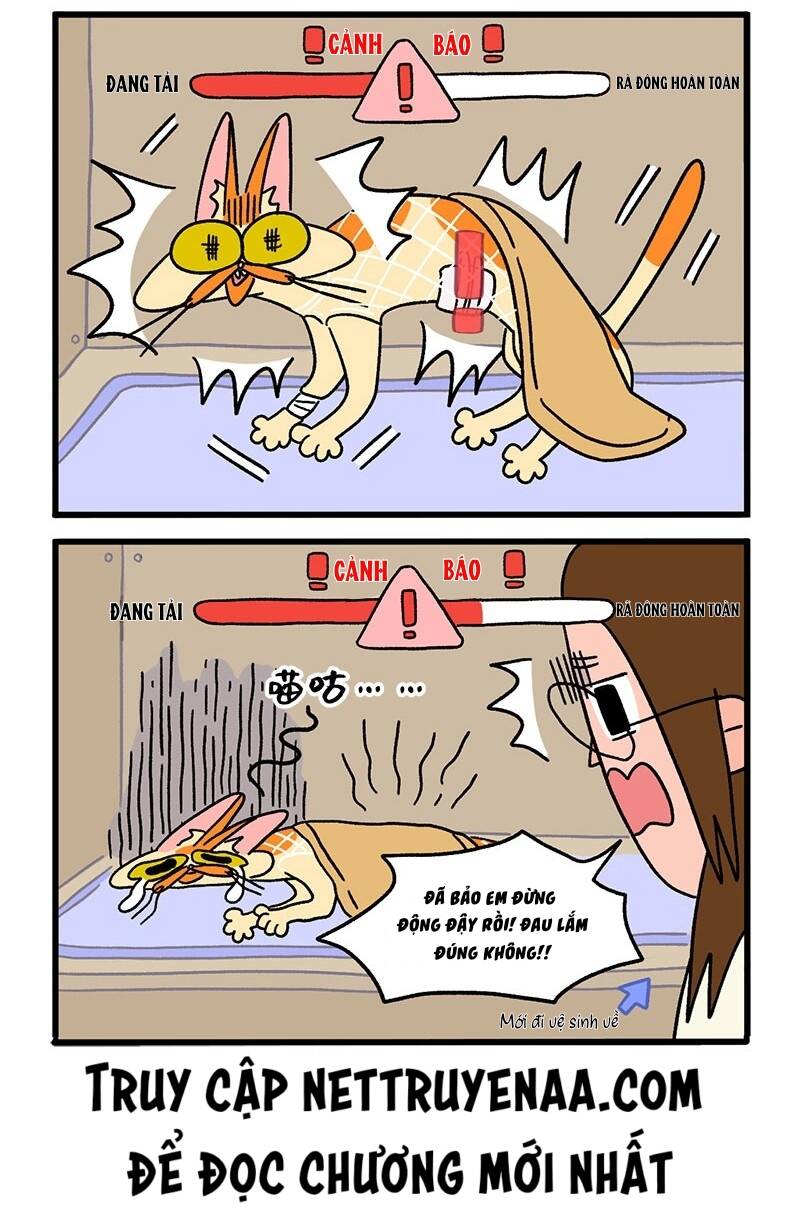 A Mãn Và Mạch Trà Chapter 17 - 6