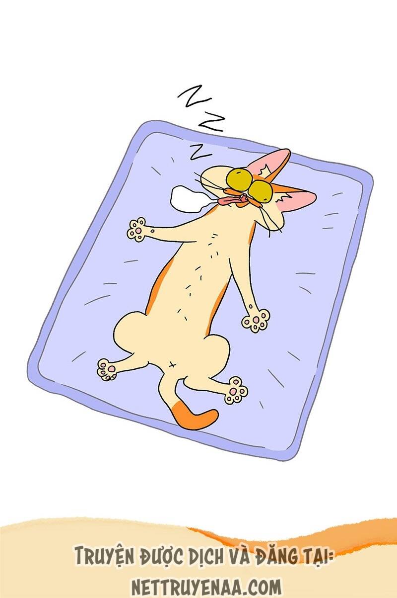A Mãn Và Mạch Trà Chapter 17 - 7