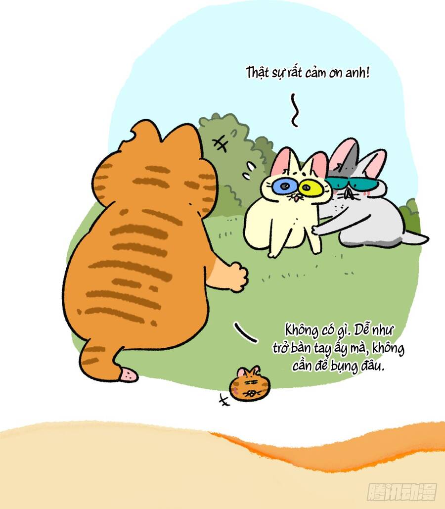 A Mãn Và Mạch Trà Chapter 171 - 3