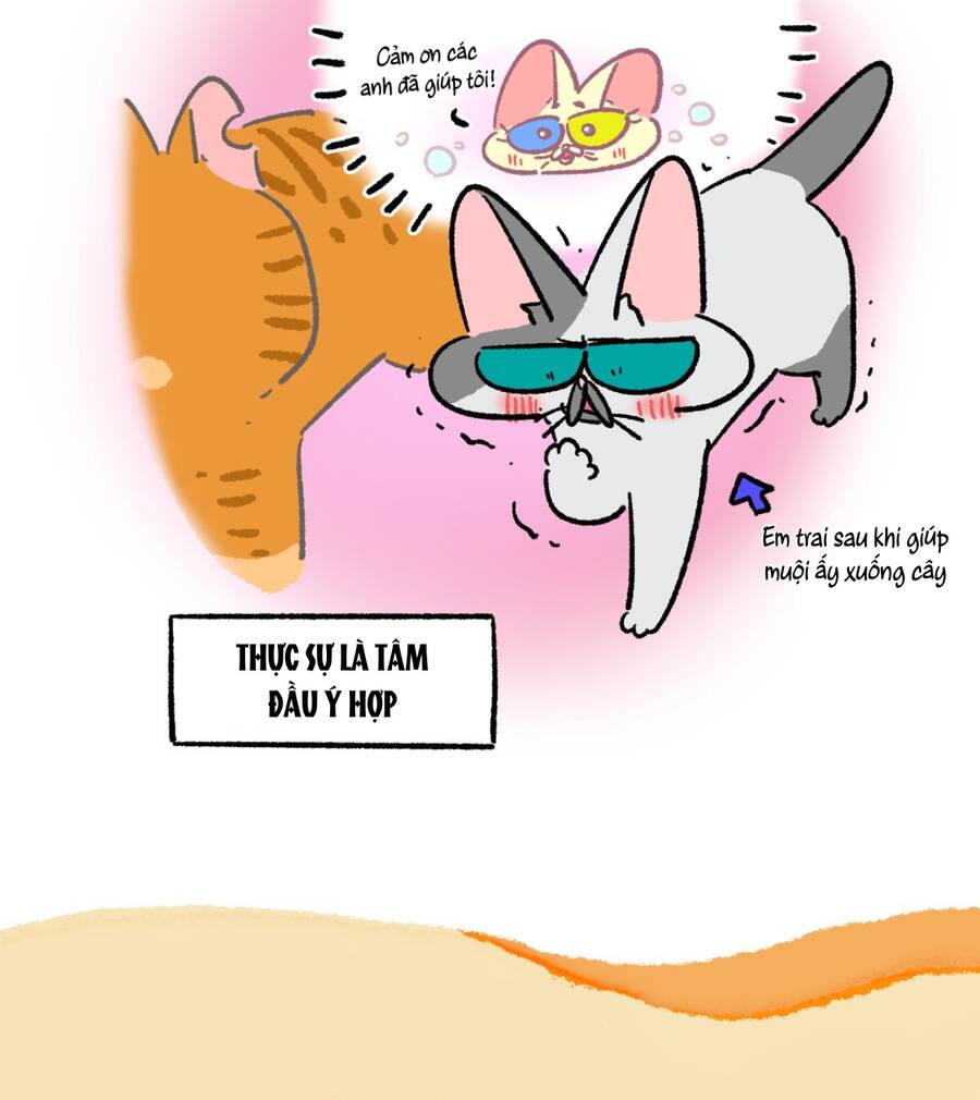 A Mãn Và Mạch Trà Chapter 172 - 12