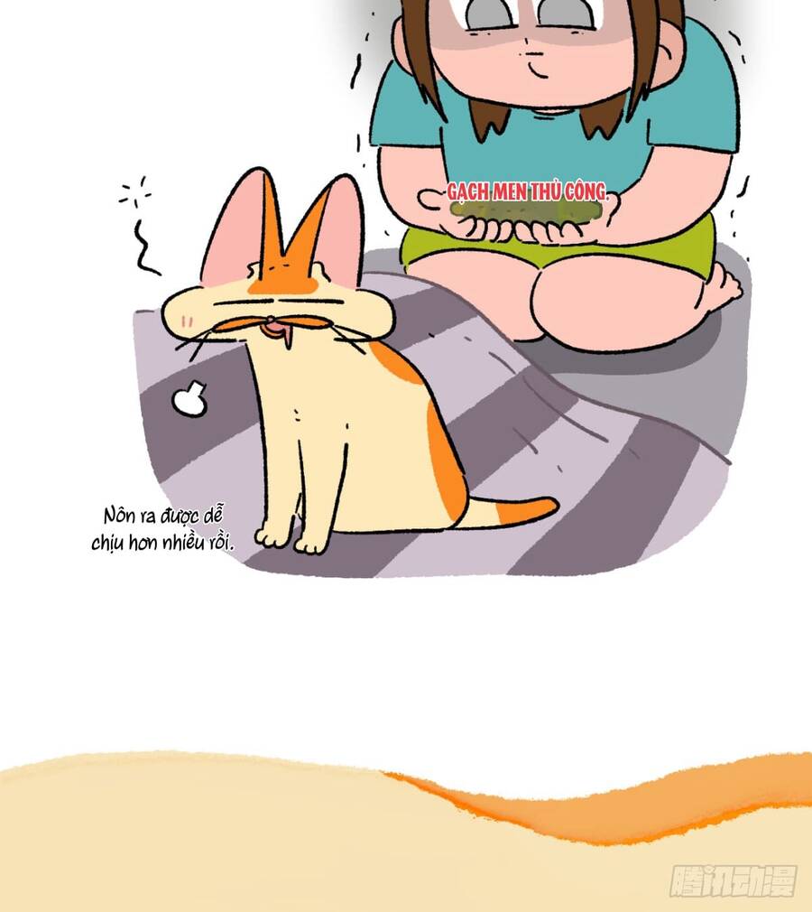 A Mãn Và Mạch Trà Chapter 176 - 3