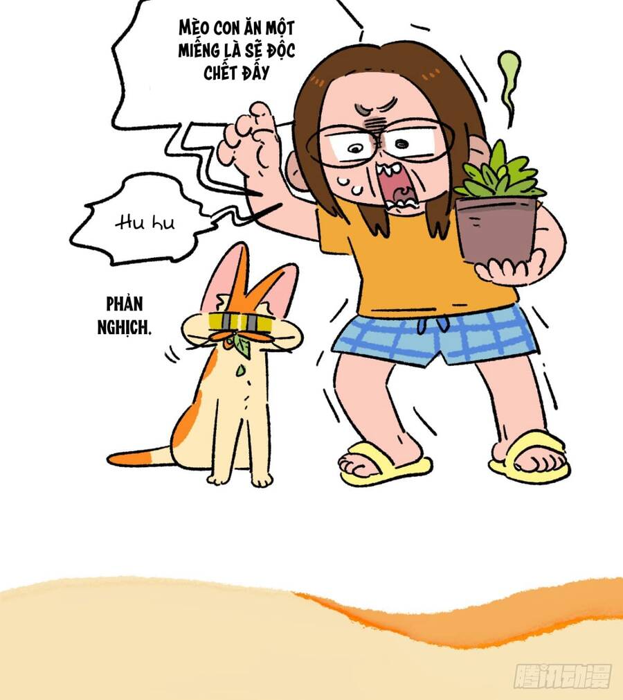 A Mãn Và Mạch Trà Chapter 176 - 6