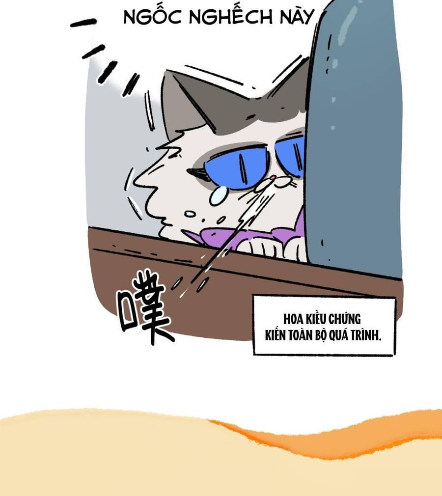 A Mãn Và Mạch Trà Chapter 177 - 3