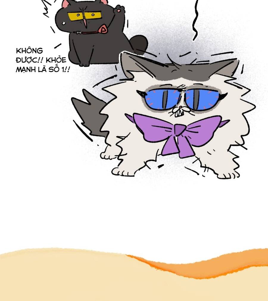 A Mãn Và Mạch Trà Chapter 177 - 9