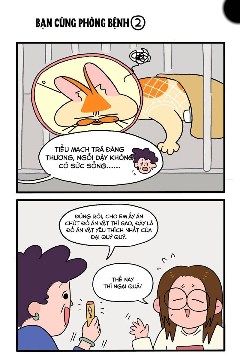 A Mãn Và Mạch Trà Chapter 18.1 - 3