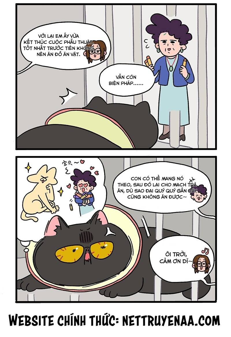 A Mãn Và Mạch Trà Chapter 18.1 - 4