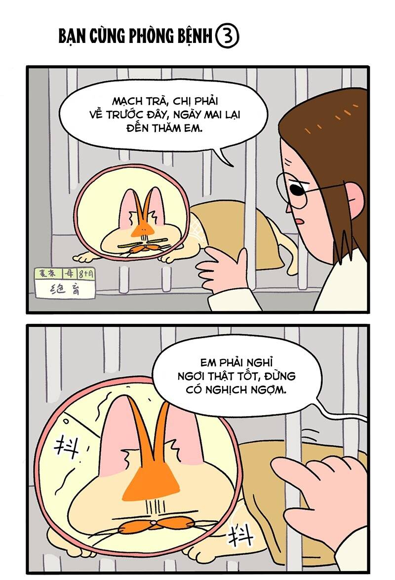 A Mãn Và Mạch Trà Chapter 18.1 - 5