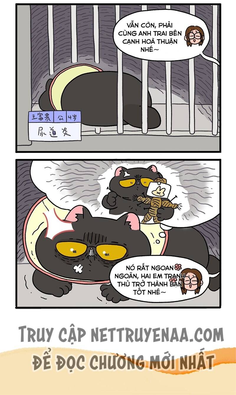A Mãn Và Mạch Trà Chapter 18.1 - 6