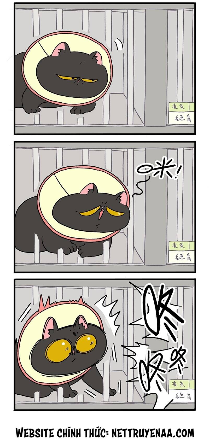 A Mãn Và Mạch Trà Chapter 18.2 - 2