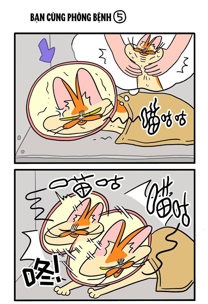 A Mãn Và Mạch Trà Chapter 18.2 - 3