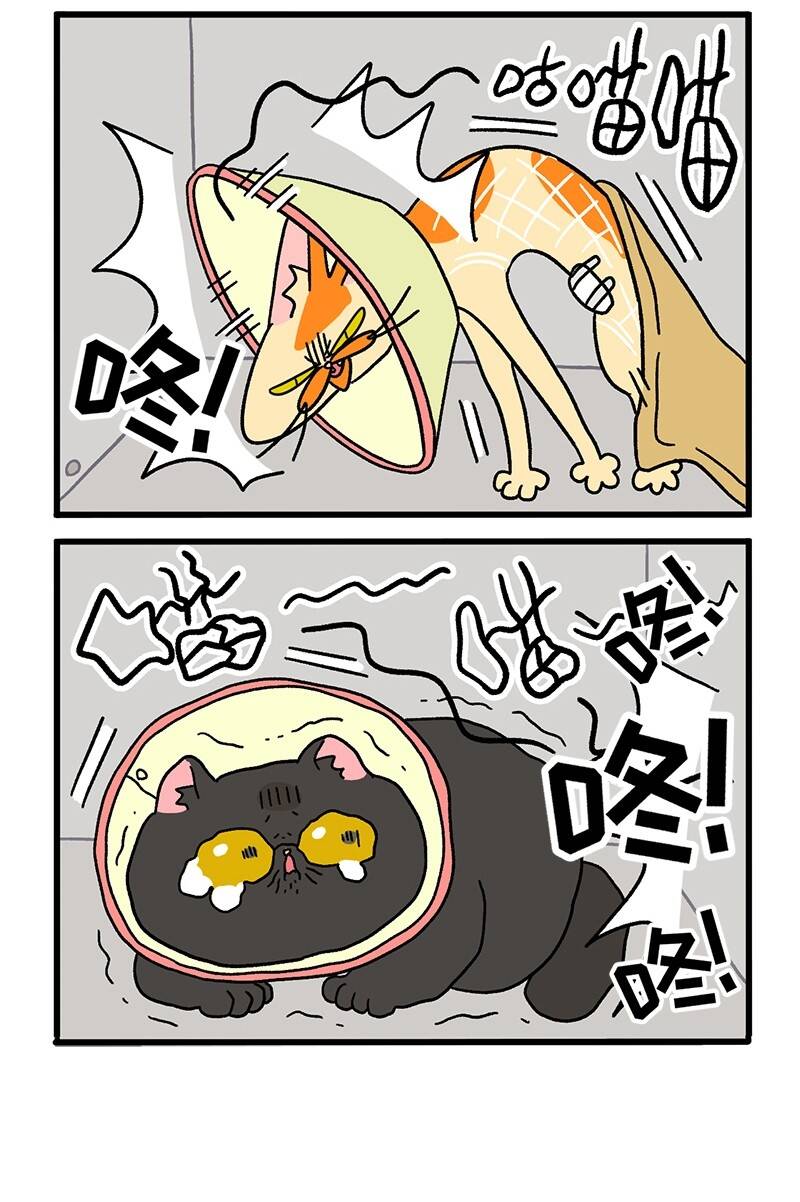 A Mãn Và Mạch Trà Chapter 18.2 - 4