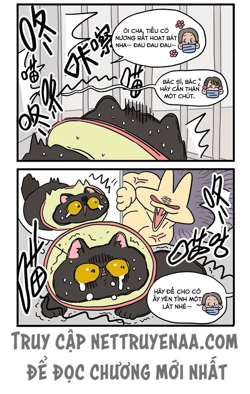 A Mãn Và Mạch Trà Chapter 18.2 - 6