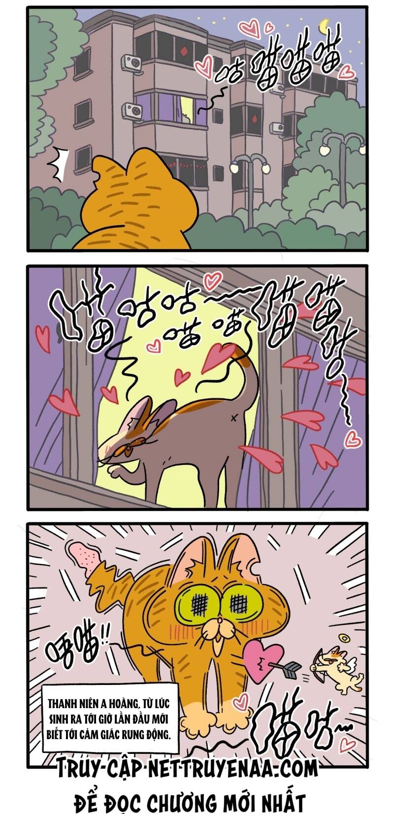 A Mãn Và Mạch Trà Chapter 18 - 2