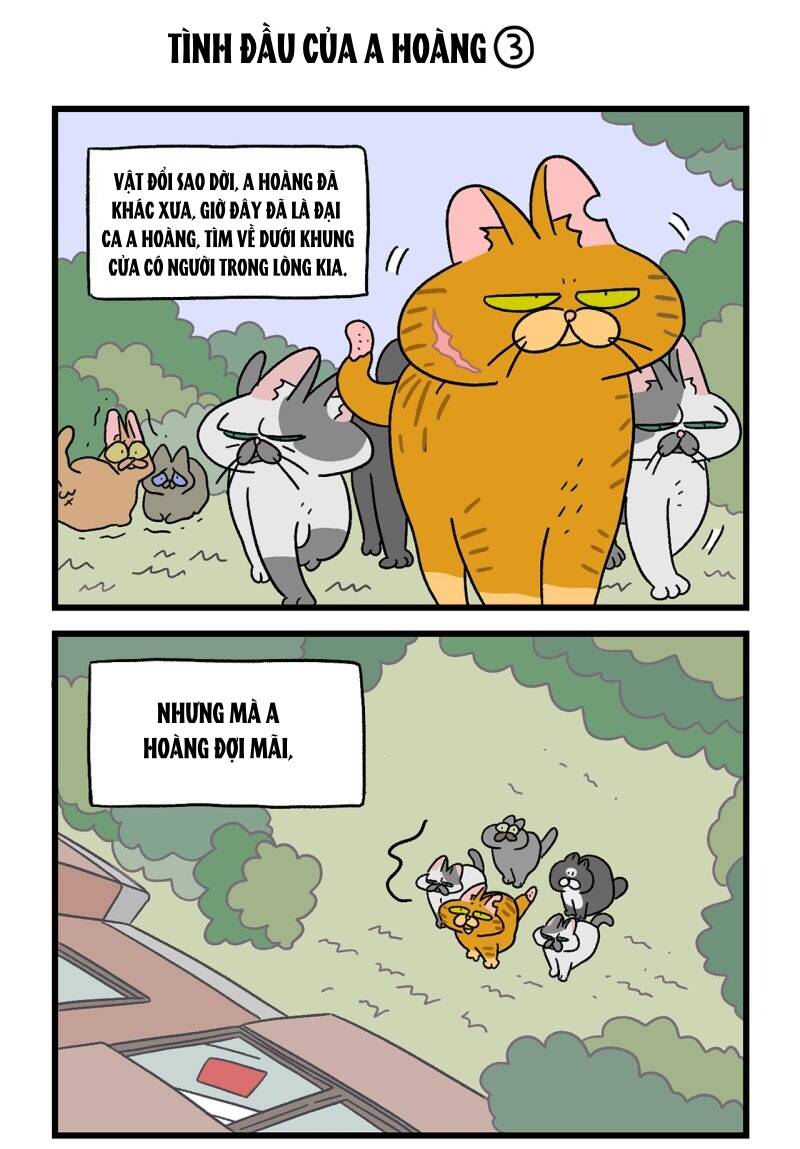 A Mãn Và Mạch Trà Chapter 18 - 5