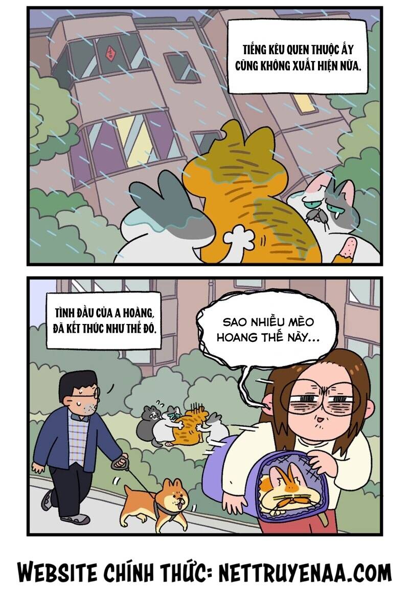A Mãn Và Mạch Trà Chapter 18 - 6