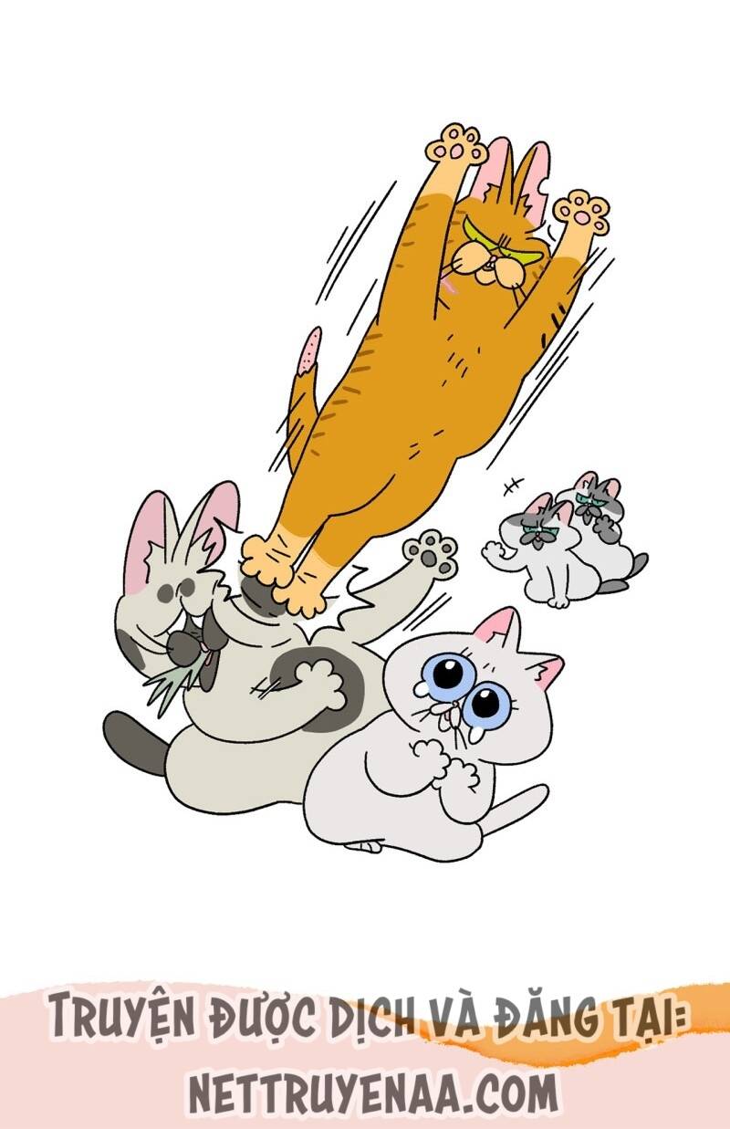 A Mãn Và Mạch Trà Chapter 18 - 7