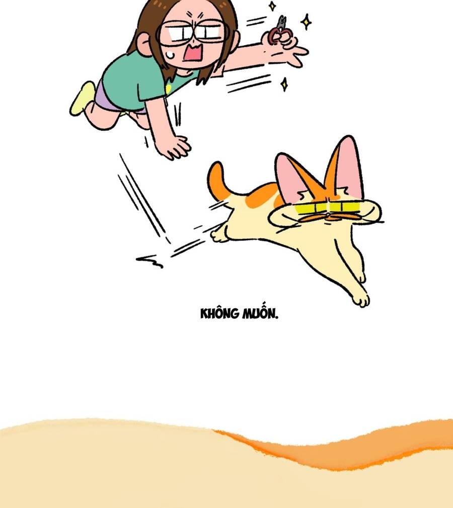 A Mãn Và Mạch Trà Chapter 181 - 3