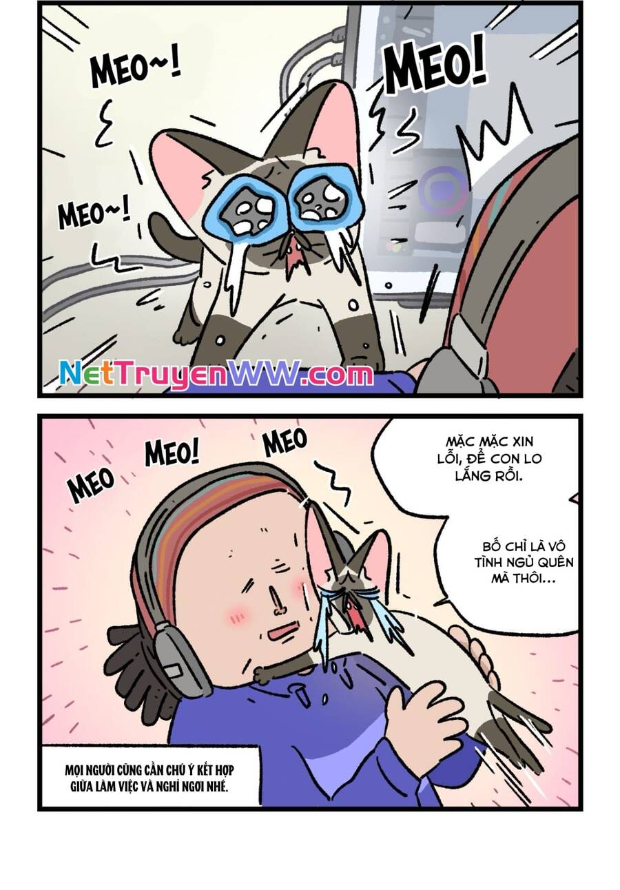 A Mãn Và Mạch Trà Chapter 183 - 2