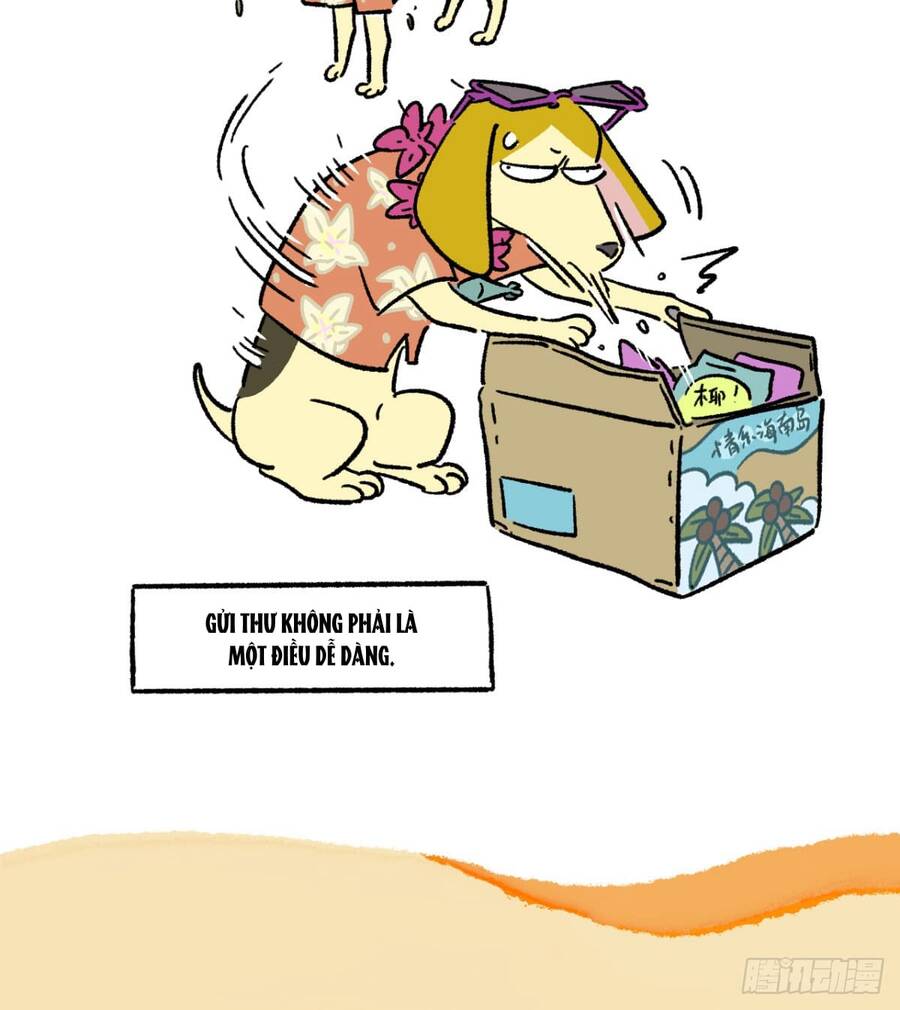 A Mãn Và Mạch Trà Chapter 184 - 9