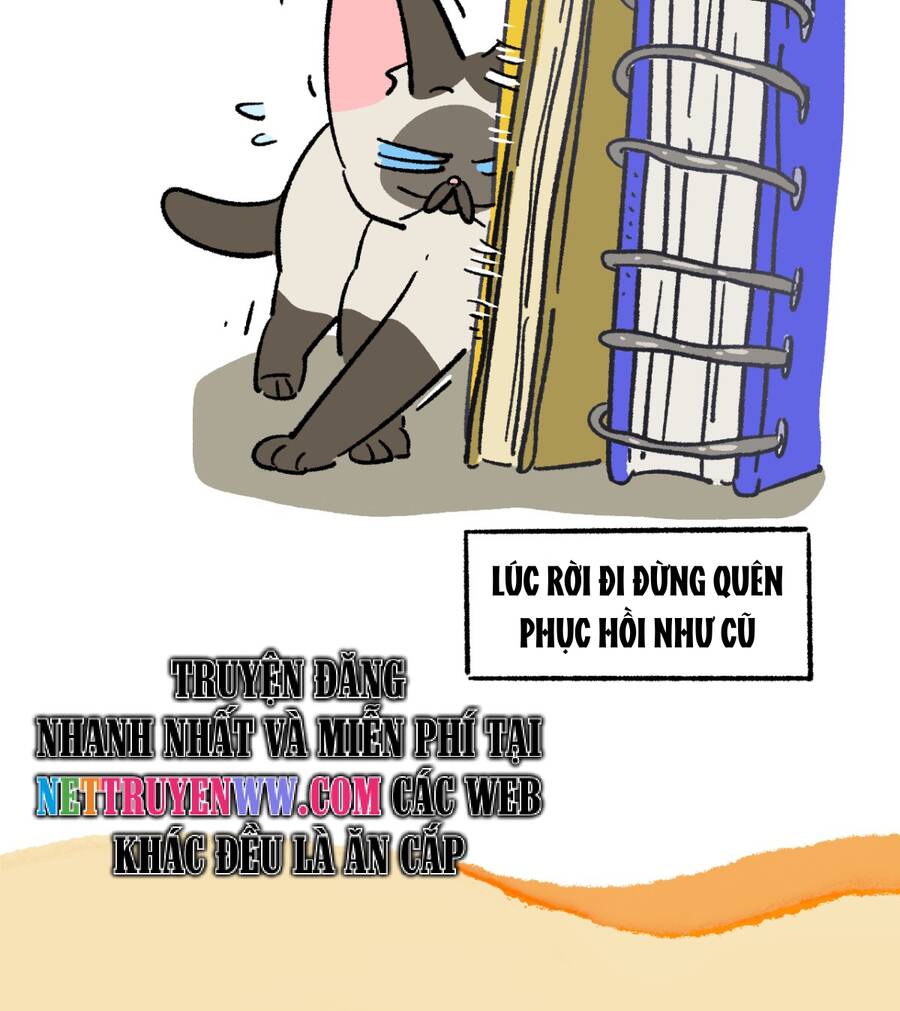 A Mãn Và Mạch Trà Chapter 186 - 9