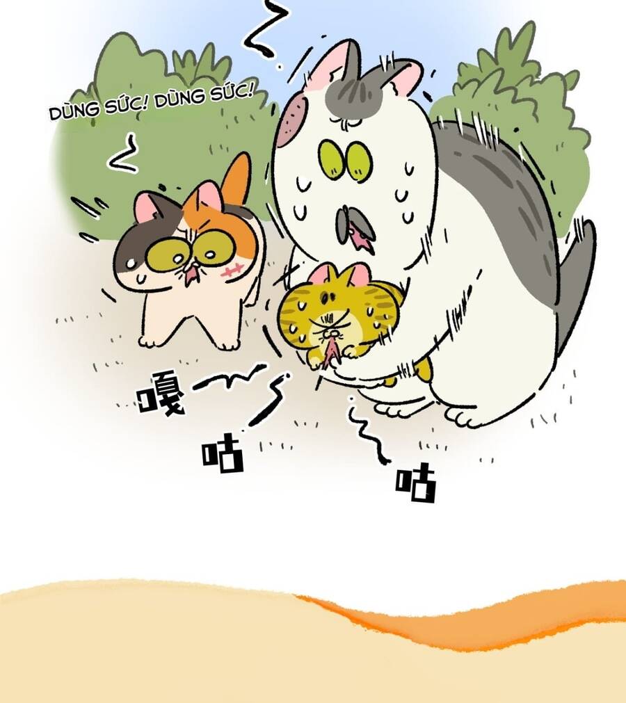 A Mãn Và Mạch Trà Chapter 187 - 3