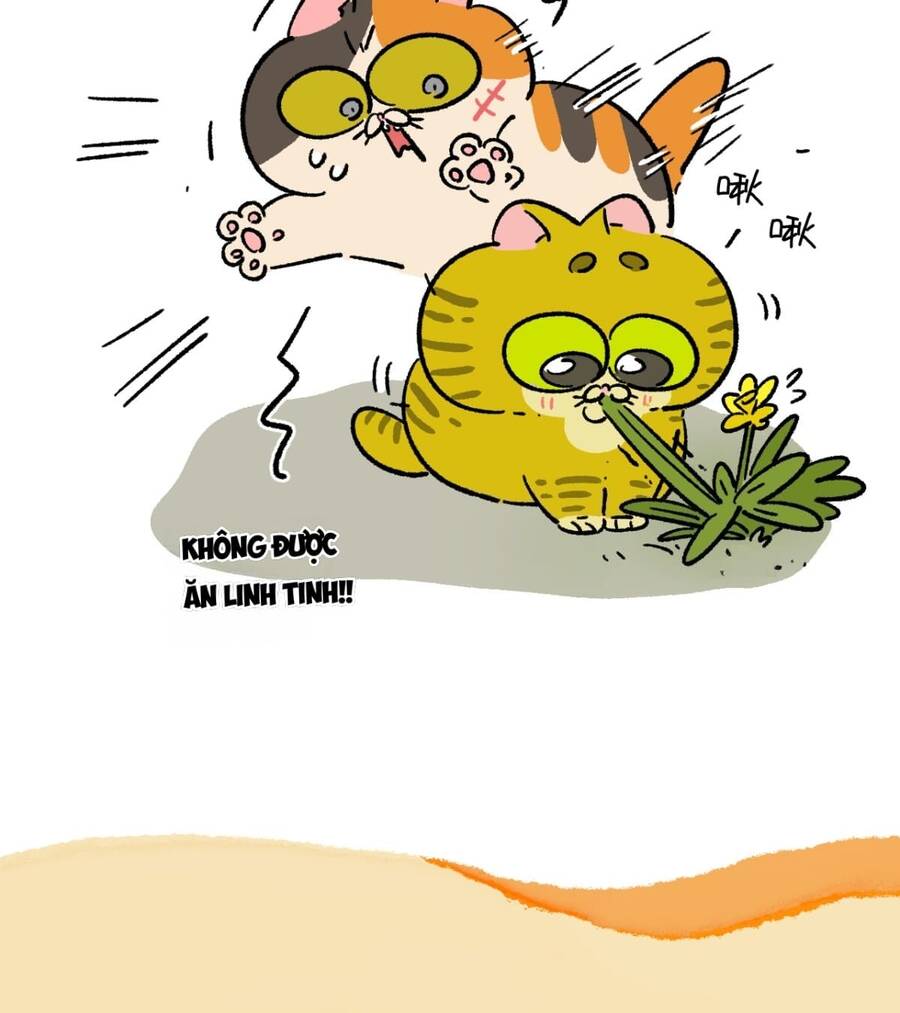 A Mãn Và Mạch Trà Chapter 187 - 6