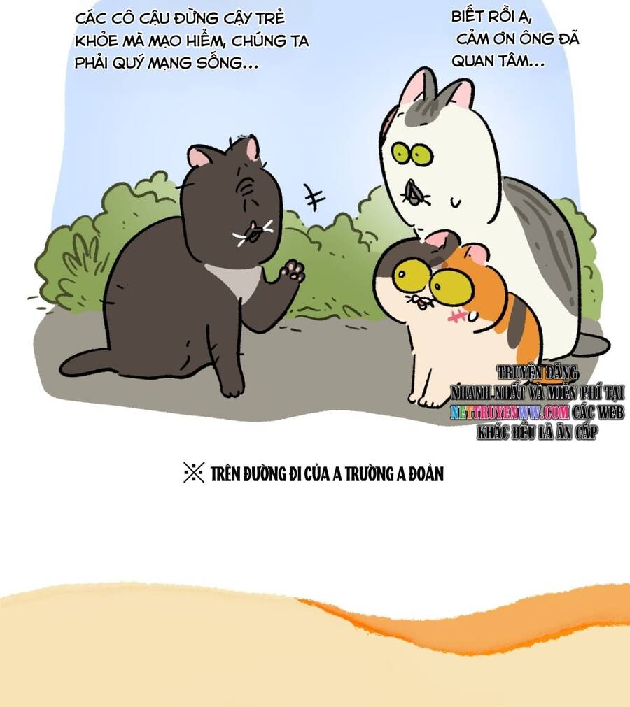 A Mãn Và Mạch Trà Chapter 187 - 9