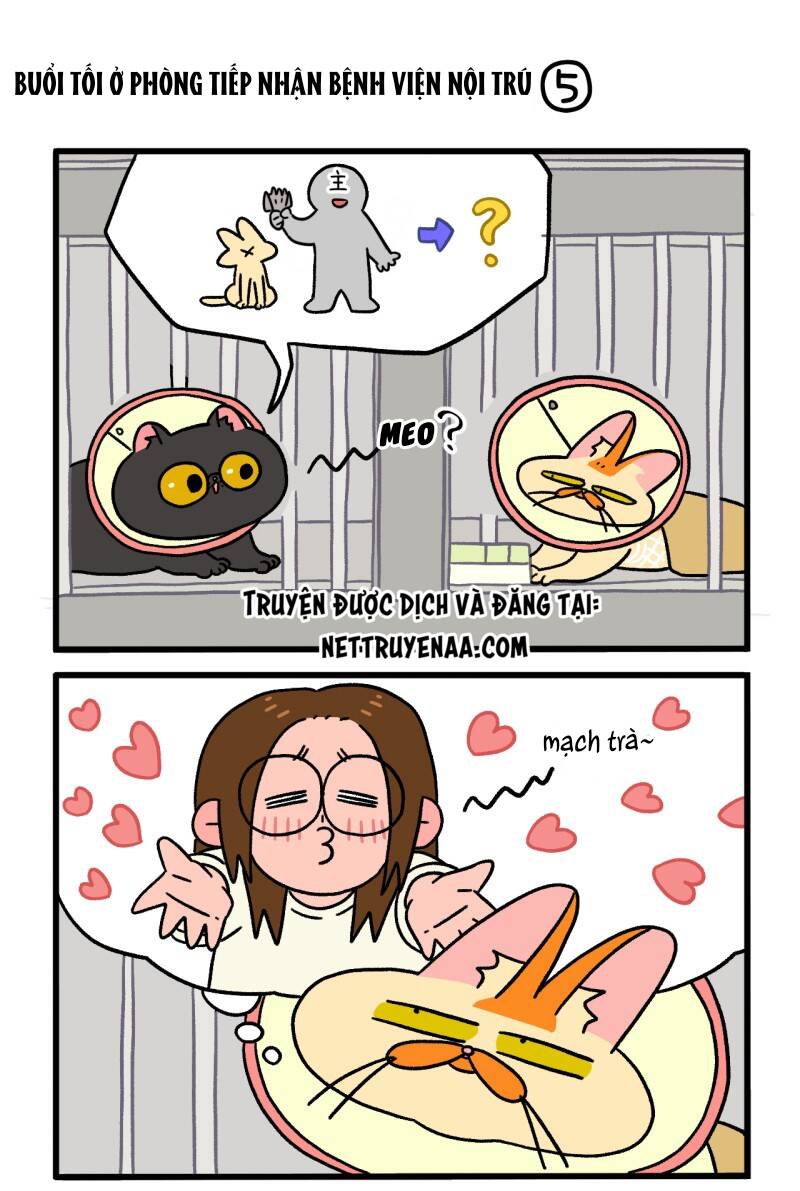 A Mãn Và Mạch Trà Chapter 19.1 - 3