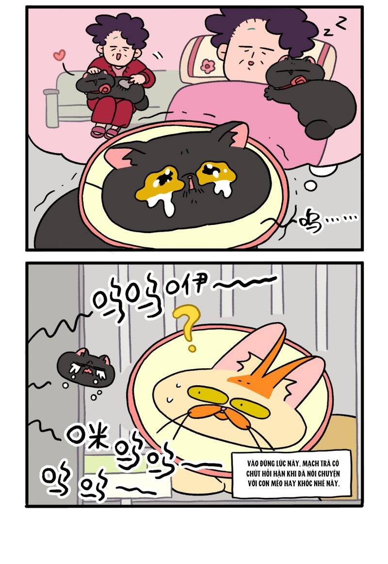 A Mãn Và Mạch Trà Chapter 19.1 - 6