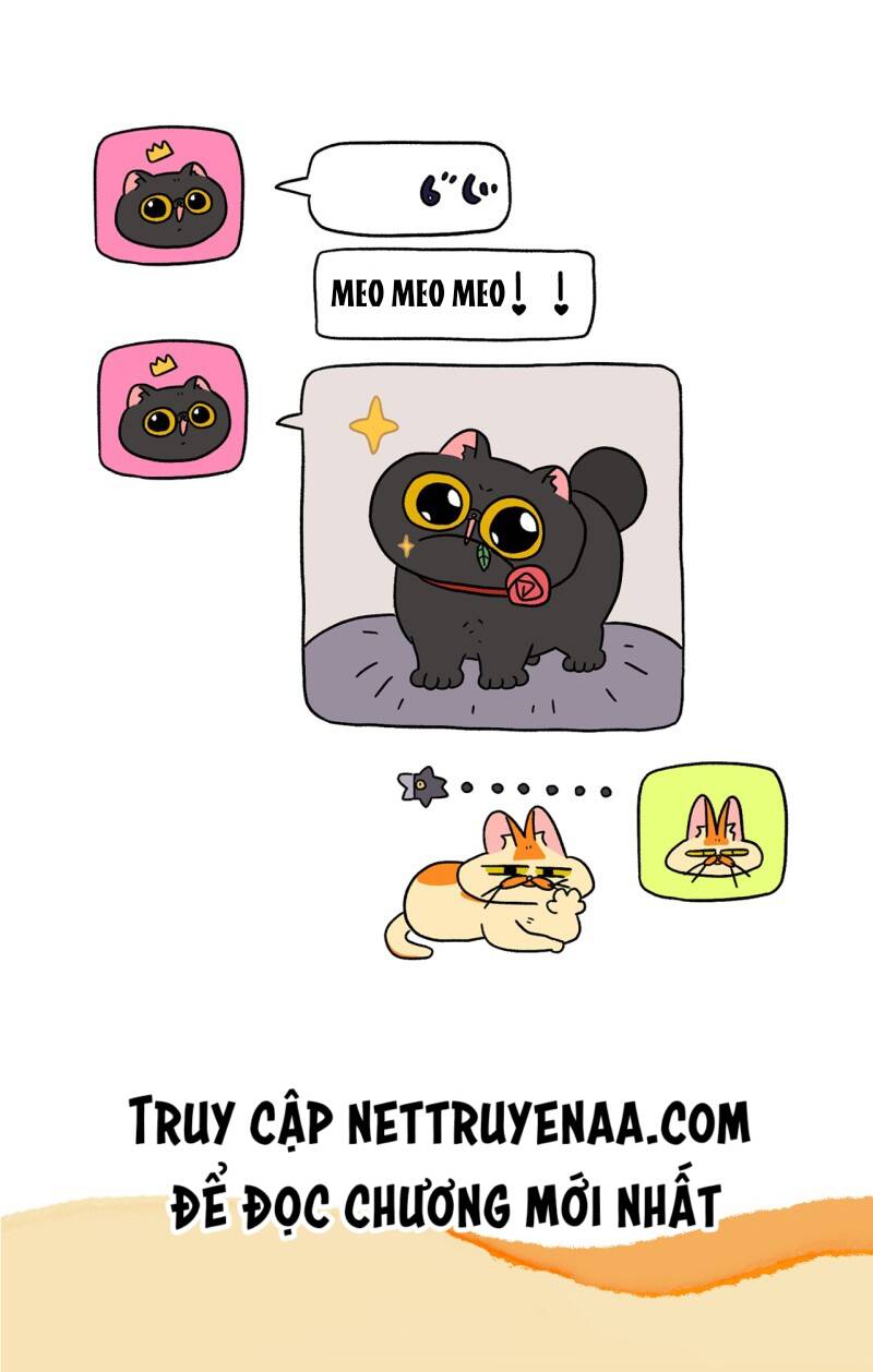 A Mãn Và Mạch Trà Chapter 19.1 - 7