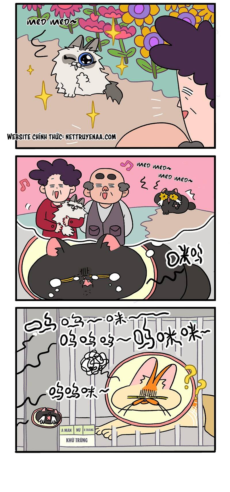 A Mãn Và Mạch Trà Chapter 19 - 2