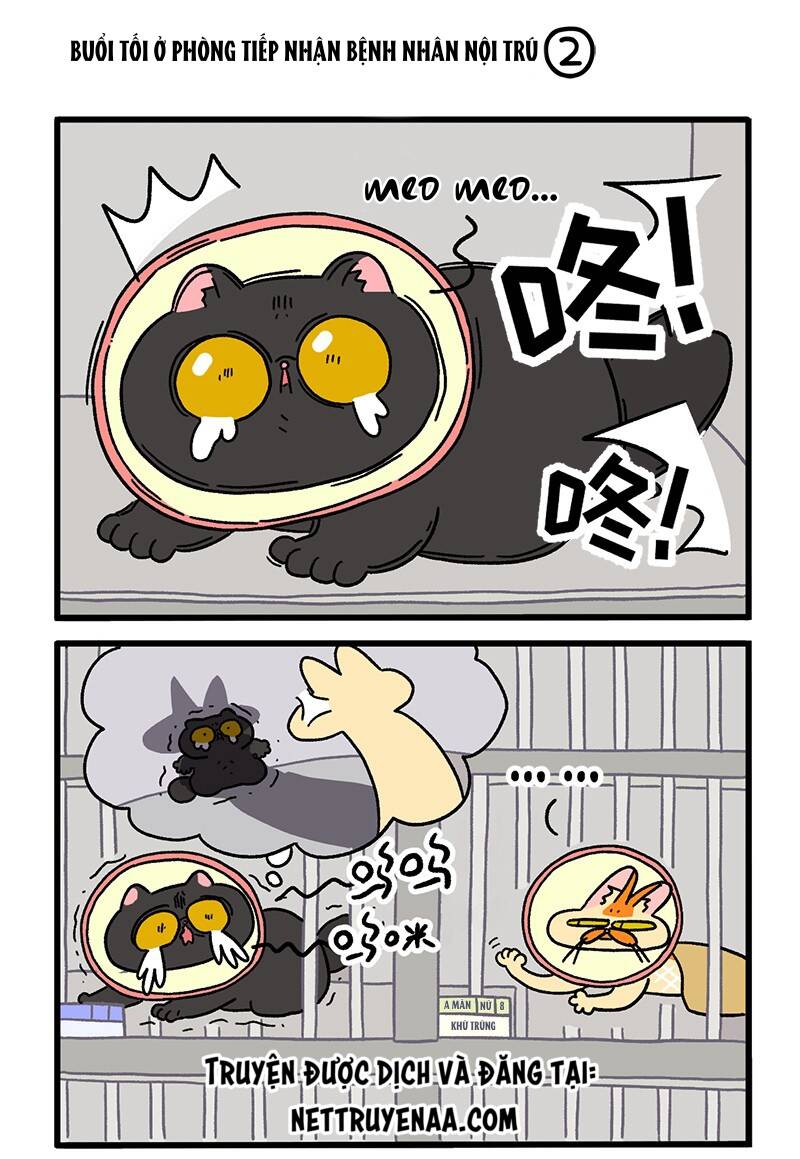 A Mãn Và Mạch Trà Chapter 19 - 3