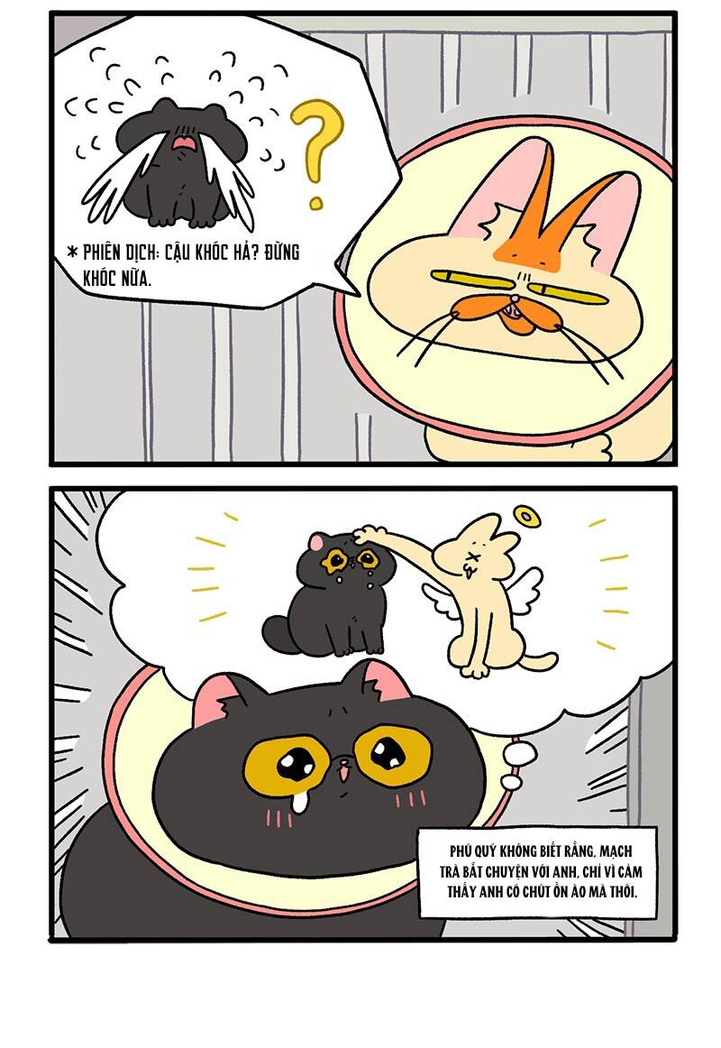 A Mãn Và Mạch Trà Chapter 19 - 4