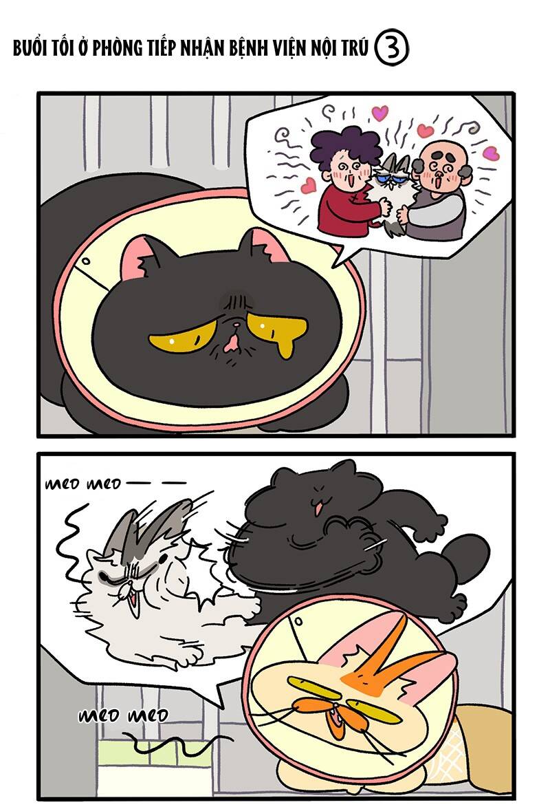 A Mãn Và Mạch Trà Chapter 19 - 5