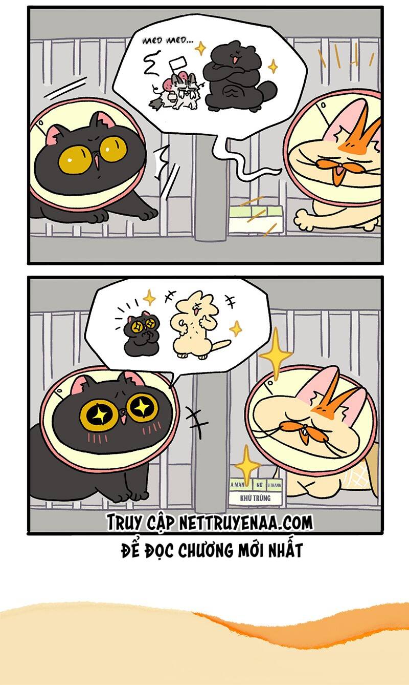 A Mãn Và Mạch Trà Chapter 19 - 6