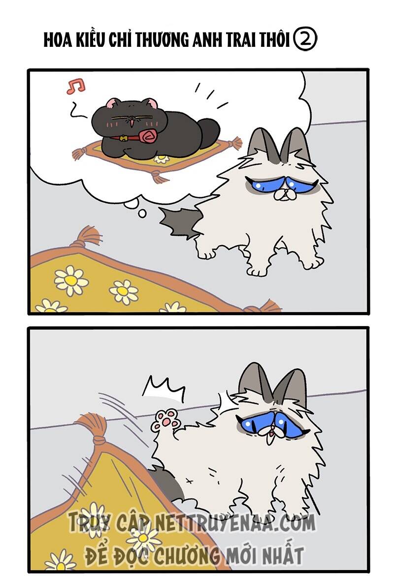 A Mãn Và Mạch Trà Chapter 20 - 3