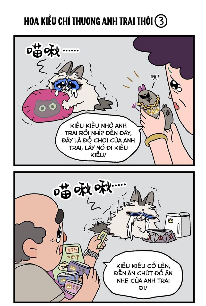 A Mãn Và Mạch Trà Chapter 20 - 4