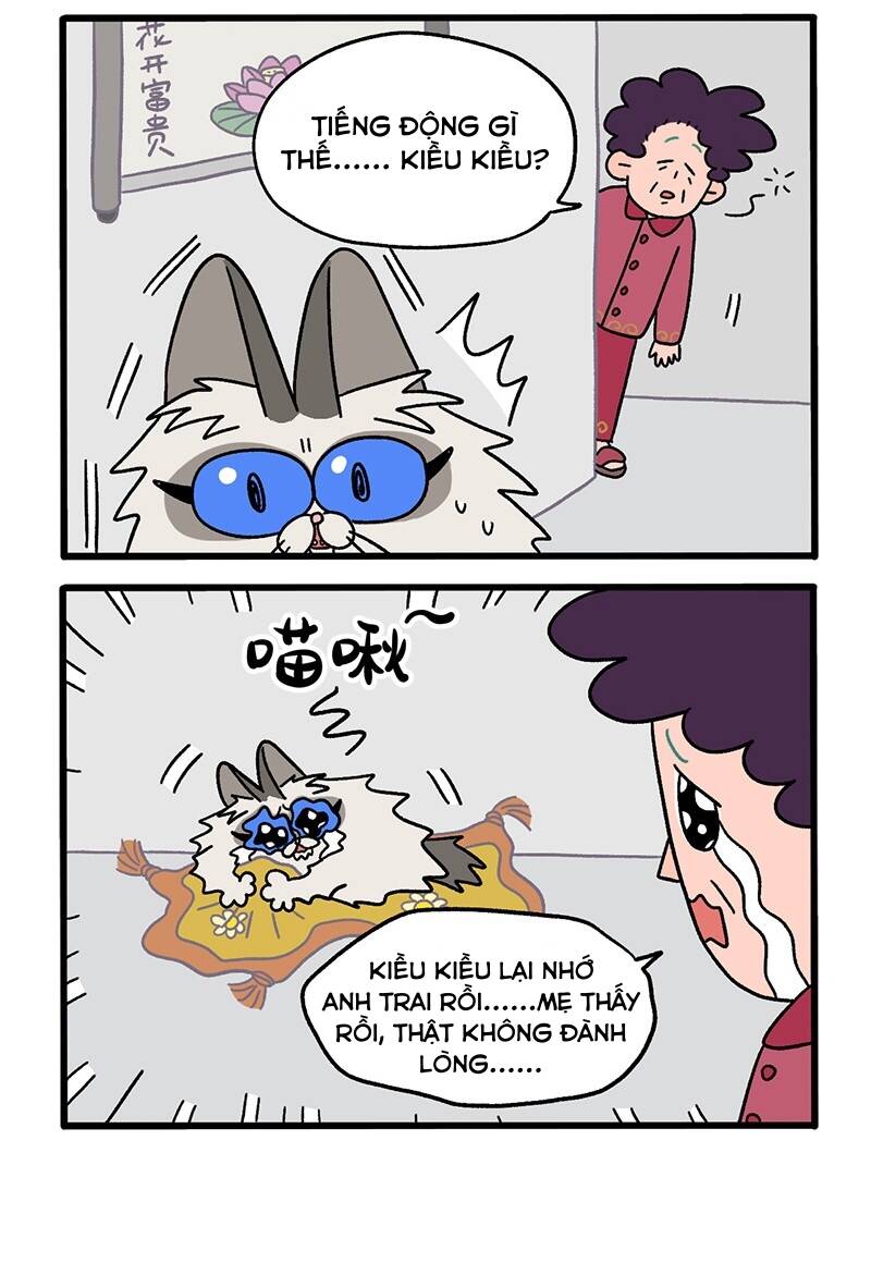 A Mãn Và Mạch Trà Chapter 20 - 5