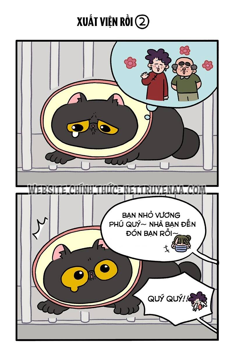 A Mãn Và Mạch Trà Chapter 21 - 3