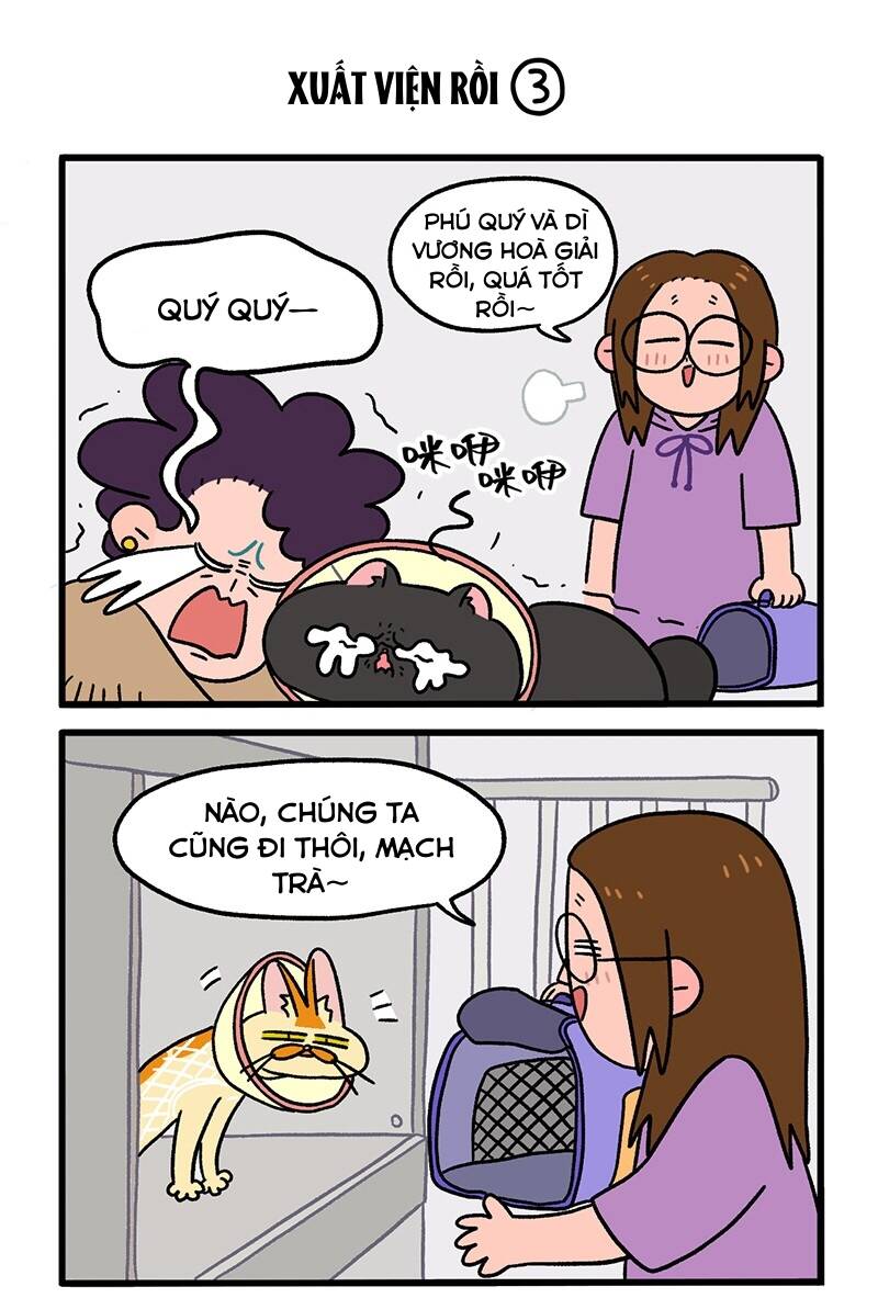 A Mãn Và Mạch Trà Chapter 21 - 4