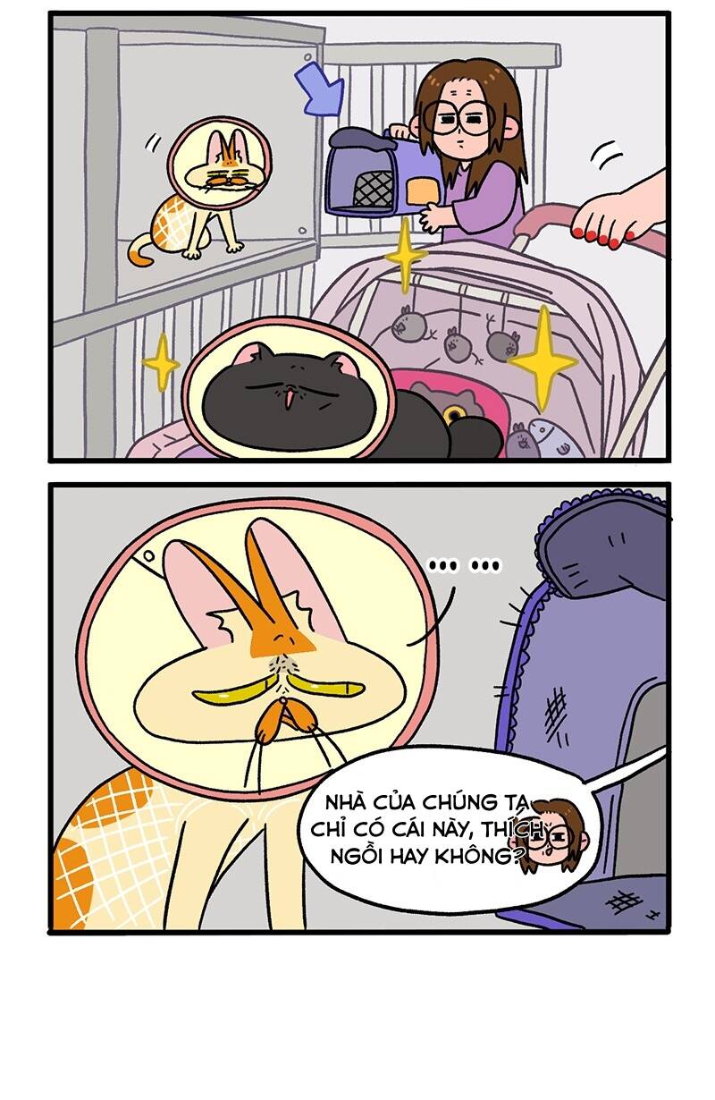 A Mãn Và Mạch Trà Chapter 21 - 6