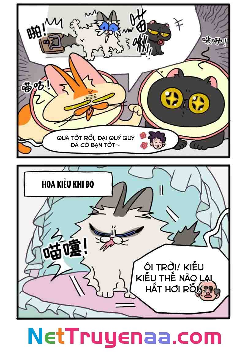 A Mãn Và Mạch Trà Chapter 22.1 - 3