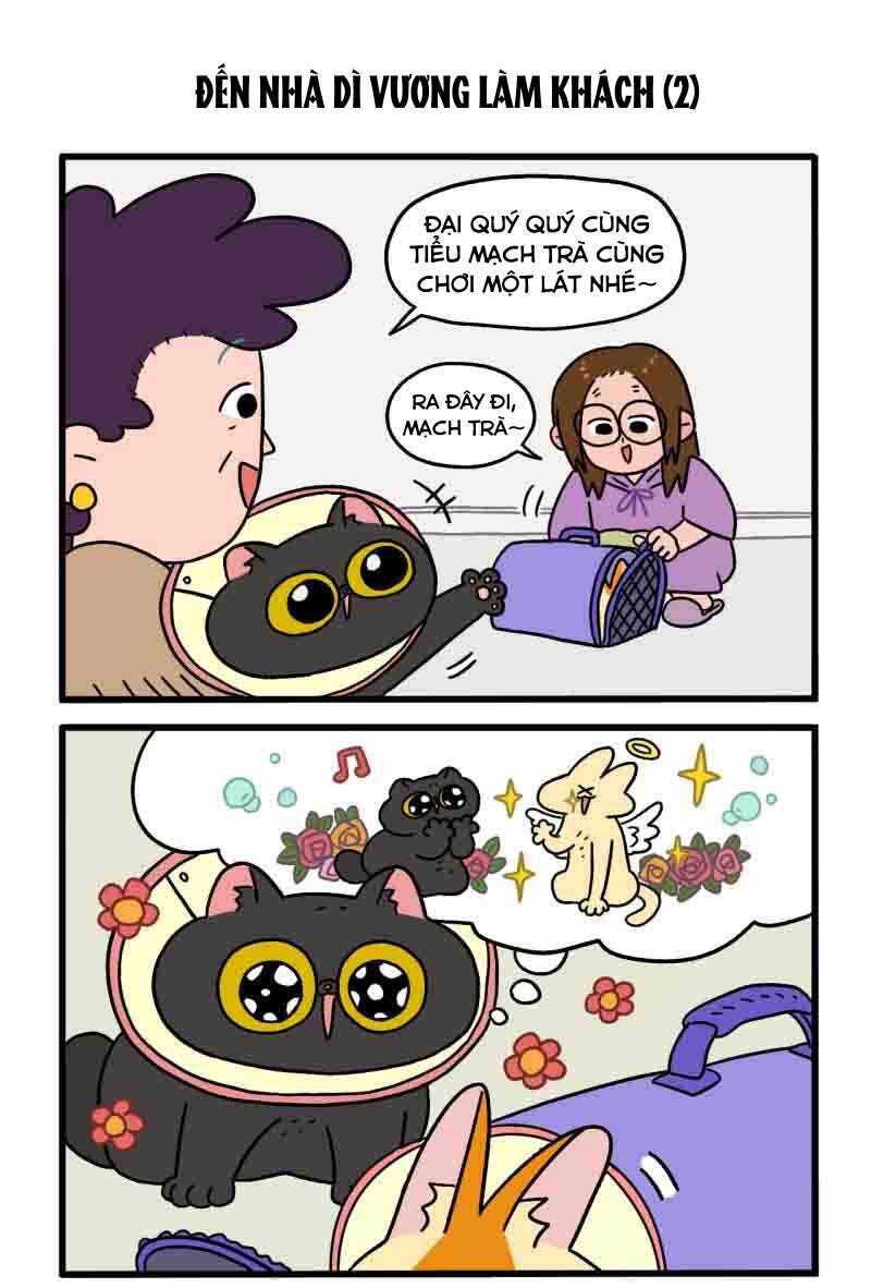 A Mãn Và Mạch Trà Chapter 22 - 3