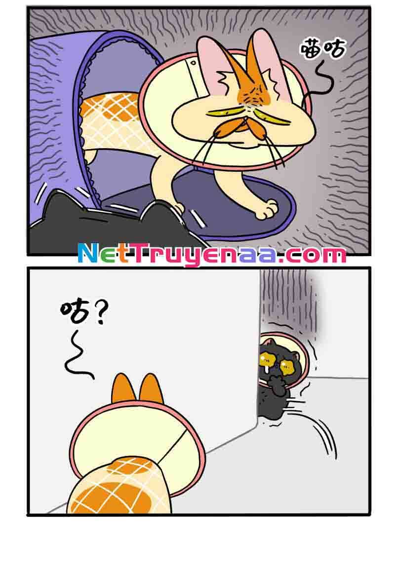 A Mãn Và Mạch Trà Chapter 22 - 4