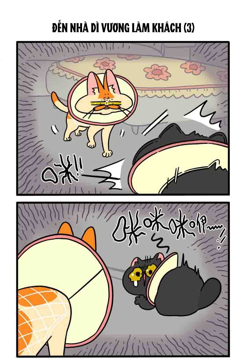 A Mãn Và Mạch Trà Chapter 22 - 5