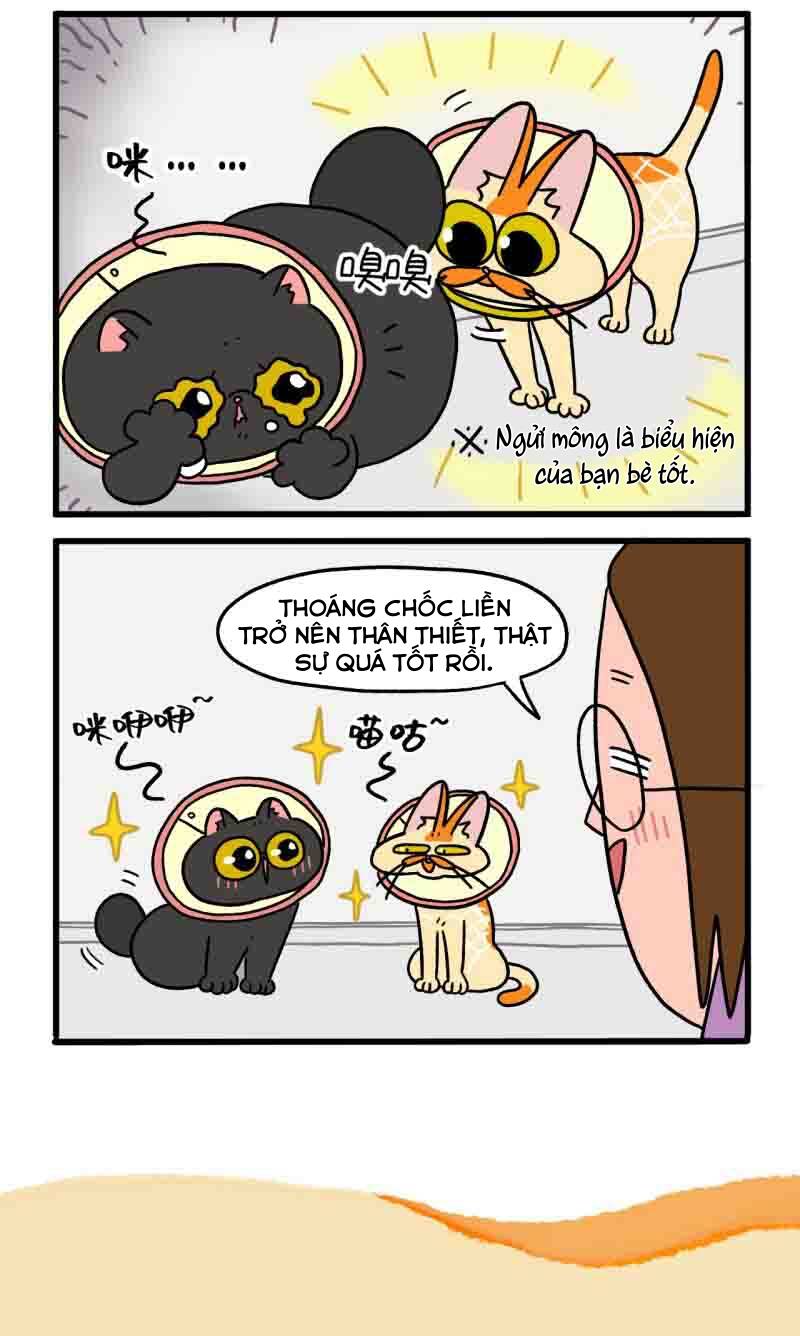 A Mãn Và Mạch Trà Chapter 22 - 6