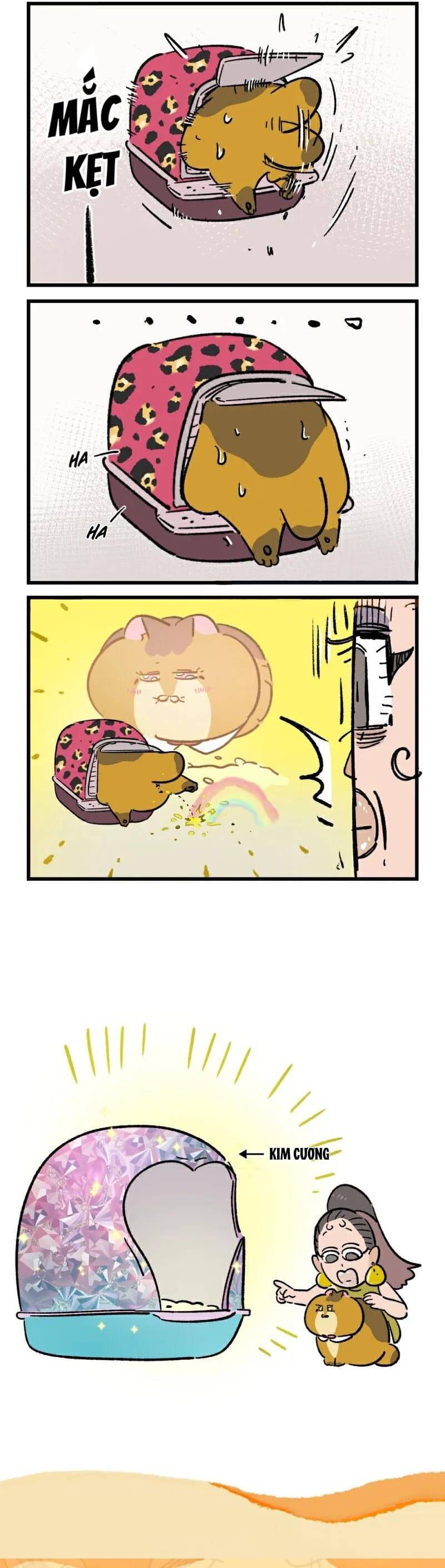 A Mãn Và Mạch Trà Chapter 229 - 3