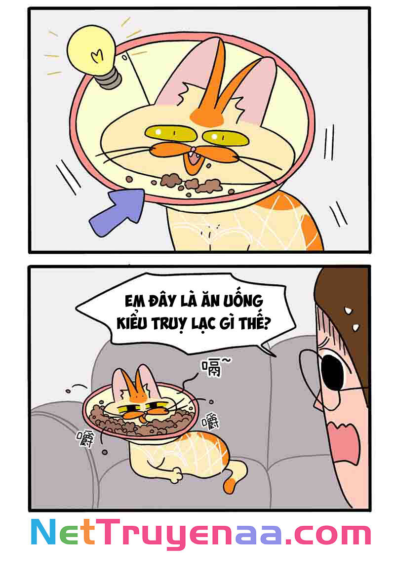 A Mãn Và Mạch Trà Chapter 23.1 - 4