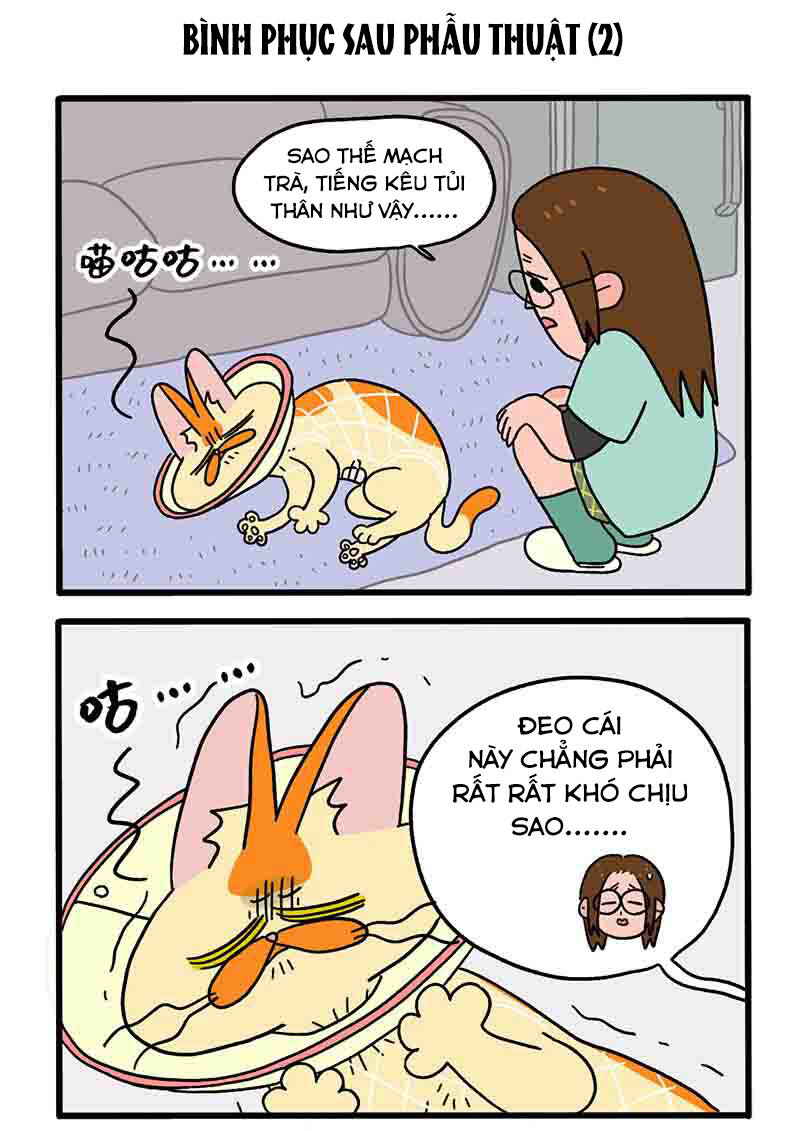 A Mãn Và Mạch Trà Chapter 23 - 3