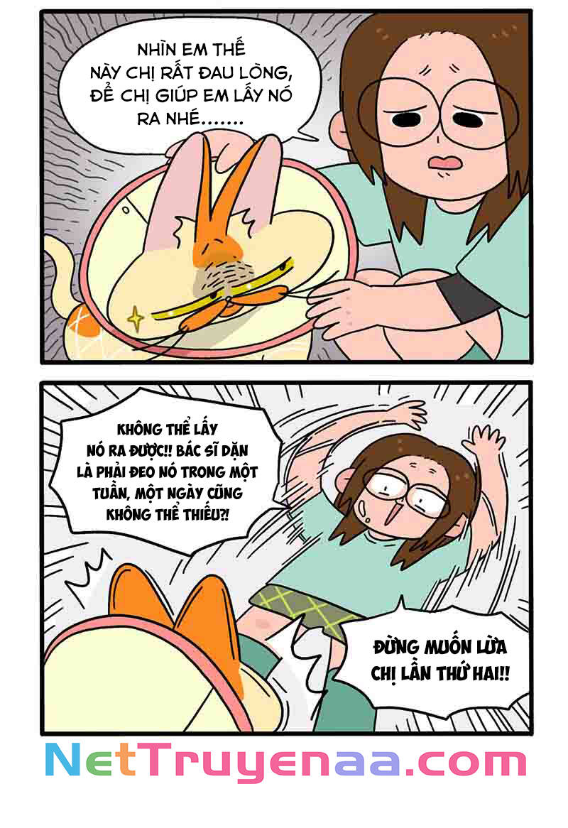 A Mãn Và Mạch Trà Chapter 23 - 4